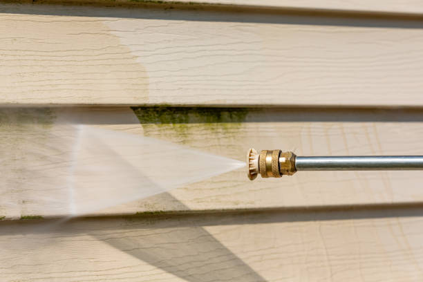 Best Pressure Washing Near Me  in Kirkwood, MO
